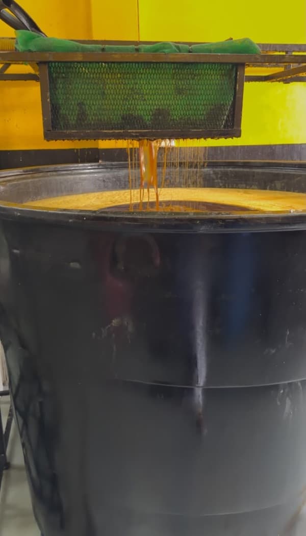 Used cooking oil dripping through a mesh filter into a black tank